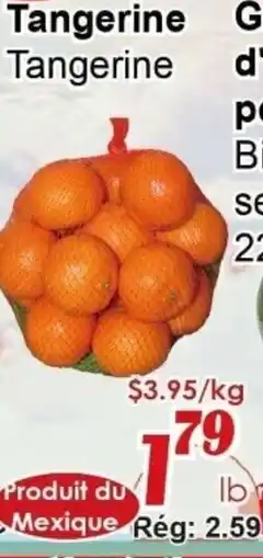 Marche C&T Tangerine offer