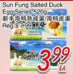 Foody Mart Sun Fung Salted Duck Egg Series offer