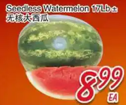 Foody Mart Seedless Watermelon offer