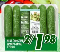Marché Lian Tai MINI-CONCOMBRE offer