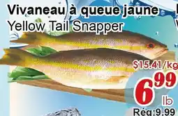 Marche C&T Vivaneau à queue jaune offer