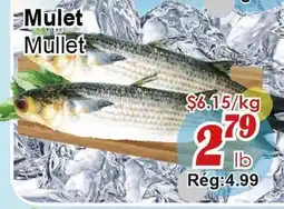 Marche C&T Mulet offer
