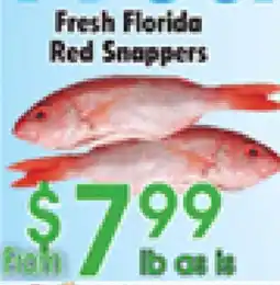 Danforth Food Market Fresh Florida Red Snappers offer