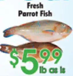 Danforth Food Market Fresh Parrot Fish offer