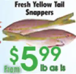Danforth Food Market Fresh Yellow Tail Snappers offer