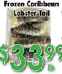 Danforth Food Market Frozen Caribbean Lobster Tail offer