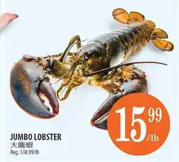 Al Premium Food Mart JUMBO LOBSTER offer