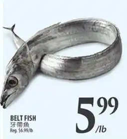 Al Premium Food Mart BELT FISH offer