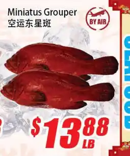 WinCo Food Mart Miniatus Grouper offer