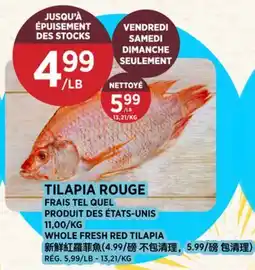 Kim Phat WHOLE FRESH RED TILAPIA offer