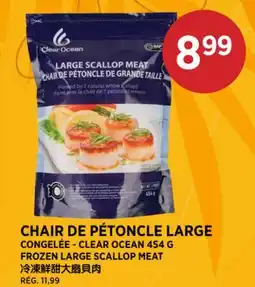 Kim Phat CLEAR OCEAN 454 G FROZEN LARGE SCALLOP MEAT offer