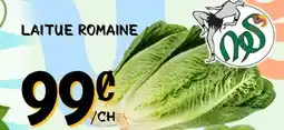 Marche Salaberry LAITUE ROMAINE offer