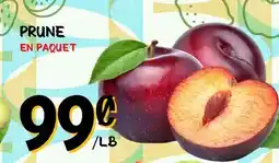 Marche Salaberry PRUNE offer