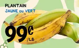 Marche Salaberry PLANTAIN JAUNE ou VERT offer