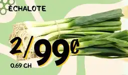 Marche Salaberry ÉCHALOTE offer