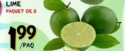 Marche Salaberry LIME offer