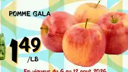 Marche Salaberry POMME GALA offer