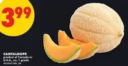 No Frills Cantaloupe offer