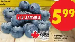 No Frills Blueberries offer