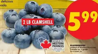 No Frills Blueberries offer