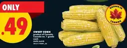 No Frills Sweet corn offer