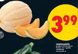 No Frills Cantaloupe offer