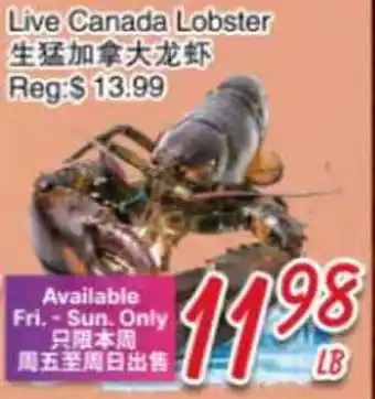 Foody Mart Live Canada Lobster offer