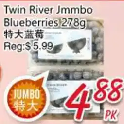 Foody Mart Twin River Jmmbo Blueberries offer