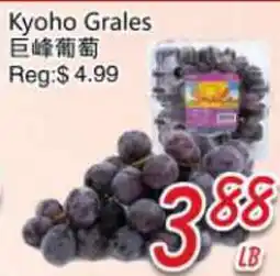 Foody Mart Kyoho Grapes offer