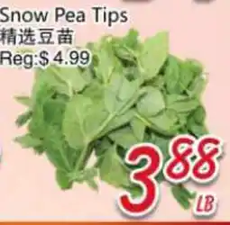 Foody Mart Snow Pea Tips offer