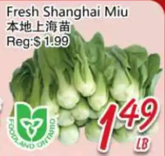 Foody Mart Fresh Shanghai Miu offer
