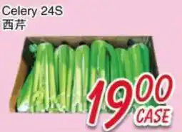 Foody Mart Celery 24S offer