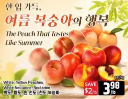 Galleria Supermarket White, Yellow Peaches, White Nectarine Nectarine offer