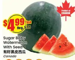 Btrust Supermarket Sugar Baby Watermelon With Seed offer
