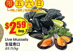 Btrust Supermarket Live Mussels offer