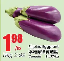 Btrust Supermarket Filipino Eggplant offer