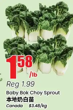 Btrust Supermarket Baby Bok Choy Sprout offer