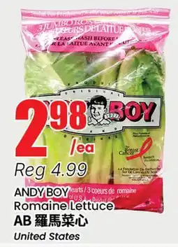 Btrust Supermarket ANDY BOY Romaine Lettuce offer