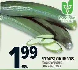 Metro Seedless cucumbers offer