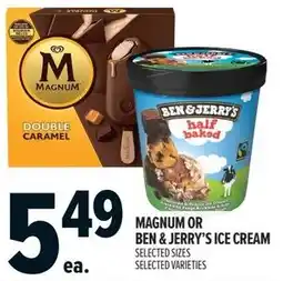 Metro Magnum or ben & jerry's ice cream offer