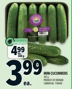 Metro Mini cucumbers offer
