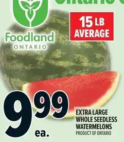 Metro Extra large whole seedless watermelons offer
