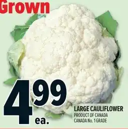 Metro Large cauliflower offer
