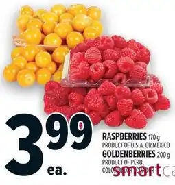 Metro Raspberries or mexico goldenberries offer