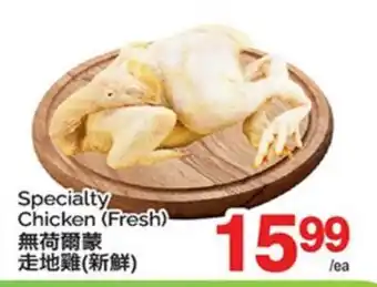 T&T Supermarket SPECIALTY CHICKEN offer