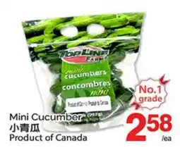T&T Supermarket MINI CUCUMBER offer