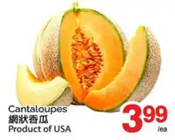 T&T Supermarket CANTALOUPES offer