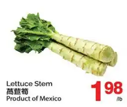 T&T Supermarket LETTUCE STEM offer