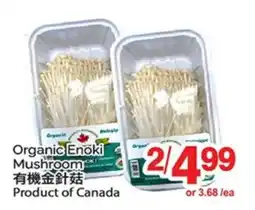 T&T Supermarket ORGANIC ENOKI MUSHROOM offer