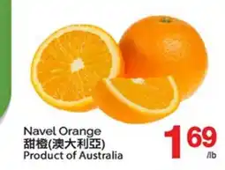 T&T Supermarket NAVEL ORANGE offer